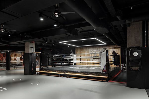 Боксерский ринг 5×5м