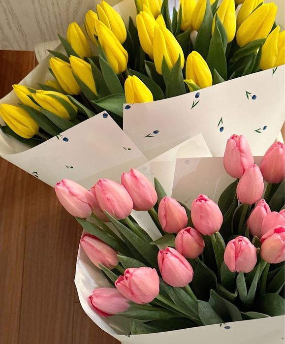 Тюльпаны оптом и в розницу голландские