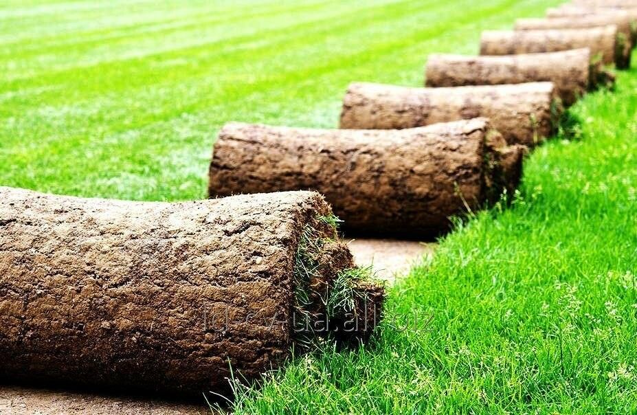 Немецкие Рулоновые Газоны в ташкенте и также ландшафтный дизайн