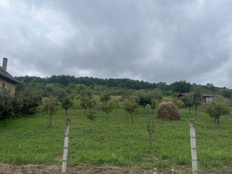 Teren Intravilan Unirea Viile cu Pomi