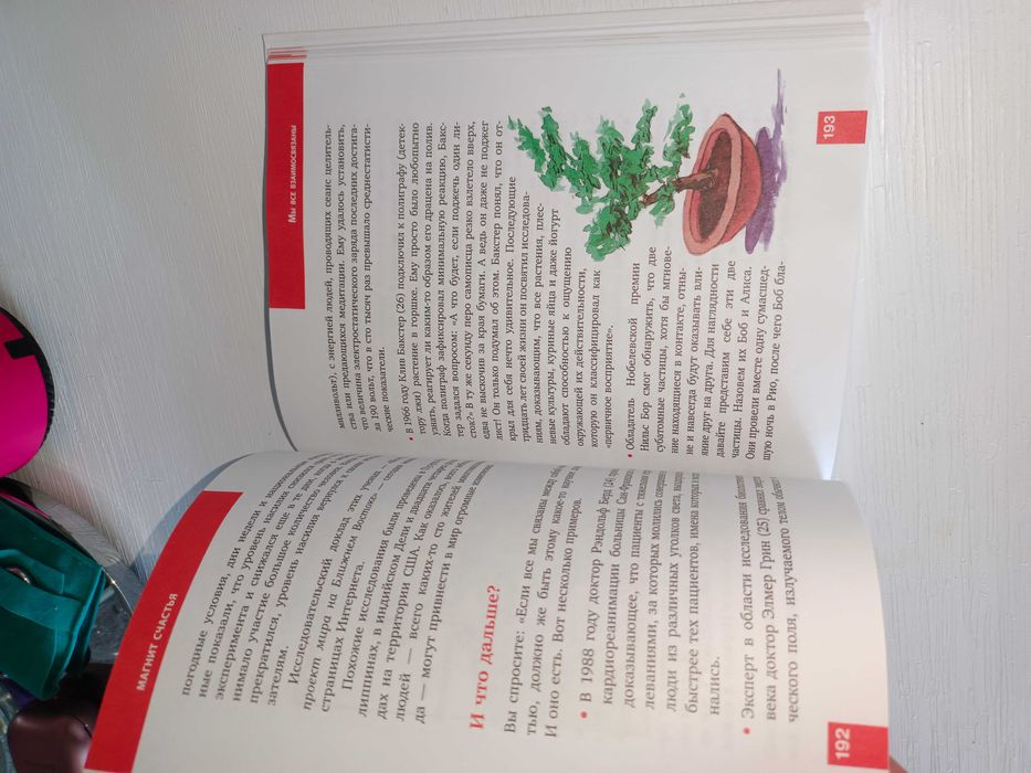 Магнит Счастья книга