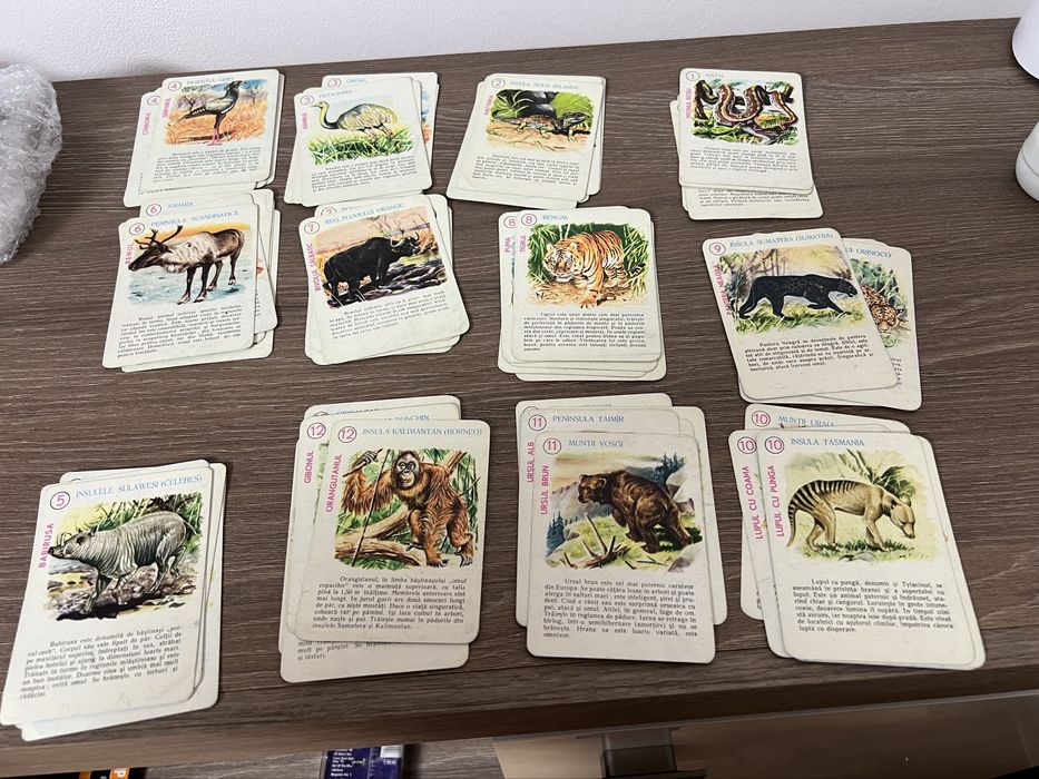 Joc Animale din continente IPBT