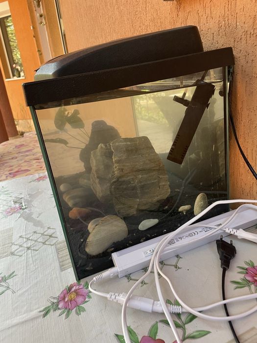 Acvariu pesti 50l