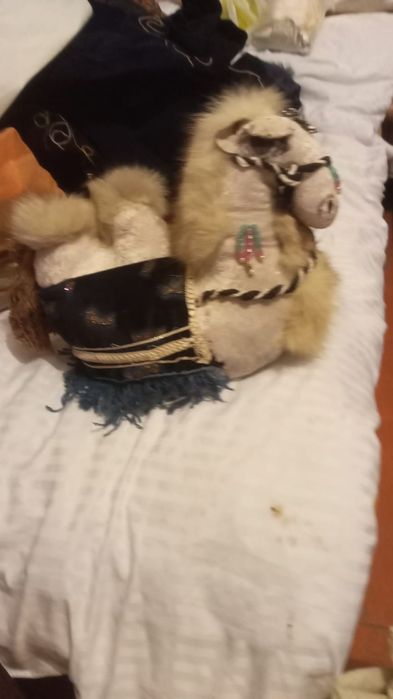 Продаю верблюд мулаш