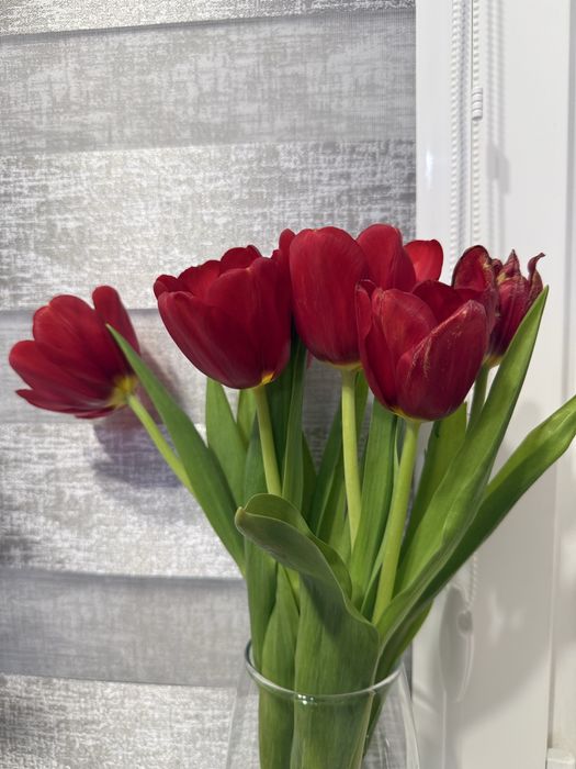 Продаются цветы на 8 марта