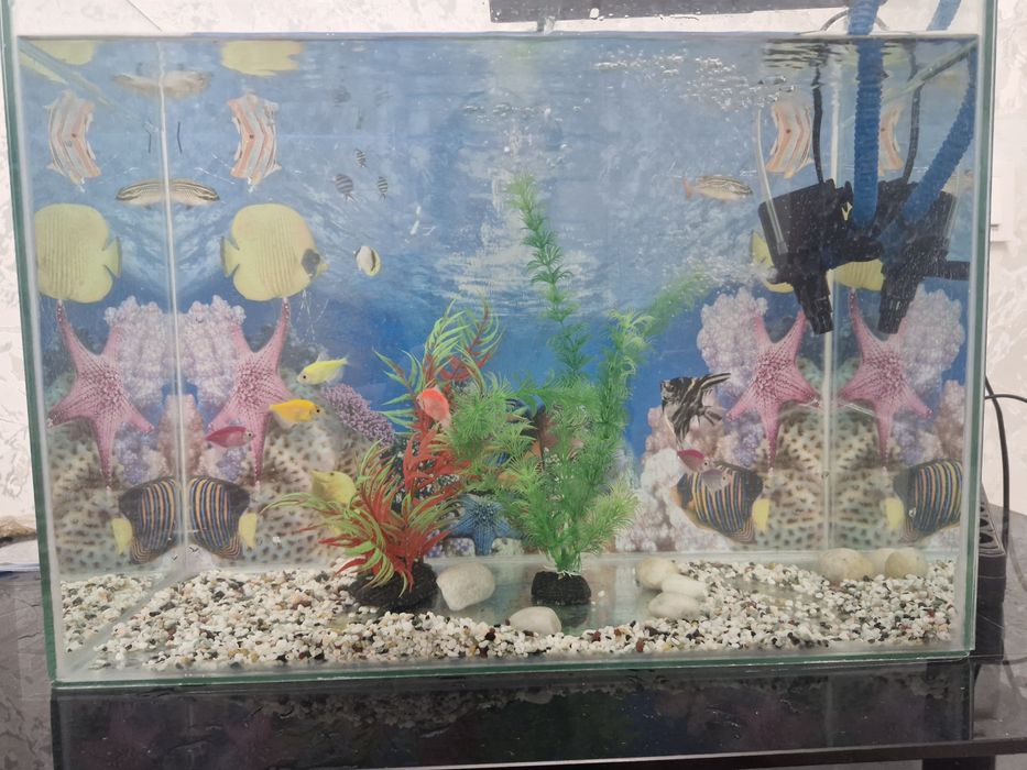 Продам аквариум с рыбками
