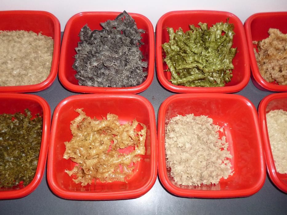 Presa ulei la rece - 0.4Kw 220V inox Garantie 1 an