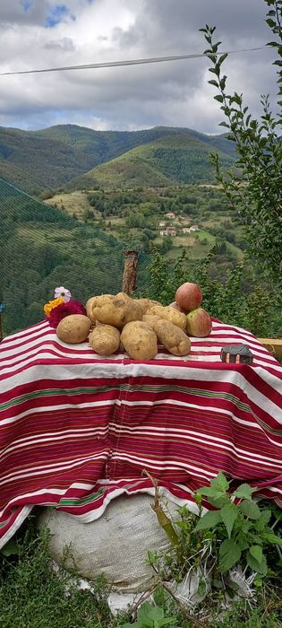 Едри картофи за пълнене!