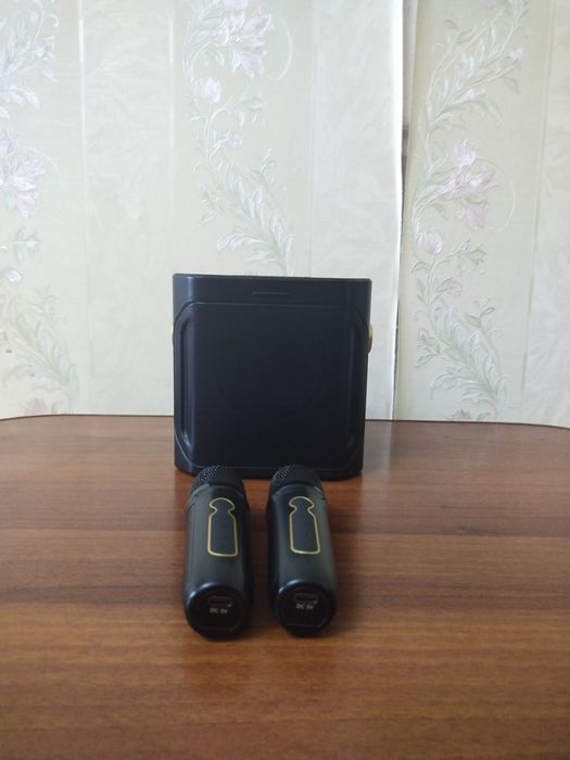 Продам караоке с двумя микрафонами