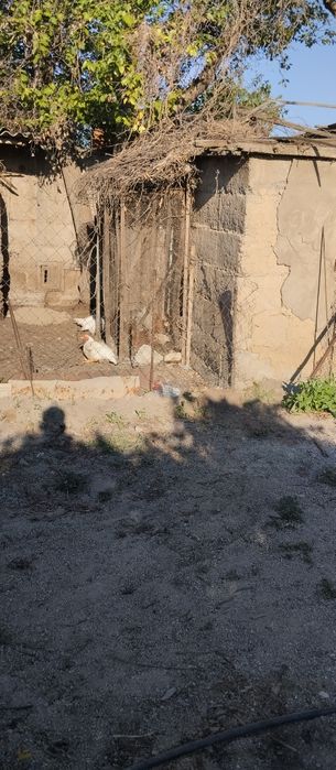 Продам две дачи в Кумшагале