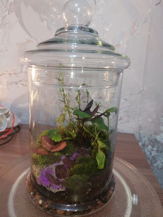 Продам флорариумы. Юго Восток