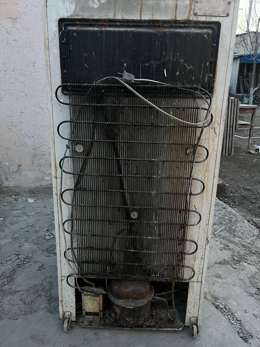 Холодильник Бирюса