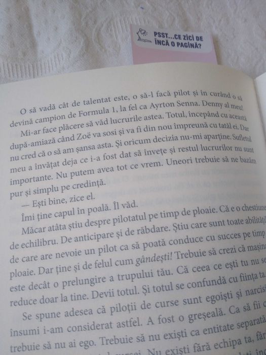 Cartea Pilotând in ploaie de Garth Stein