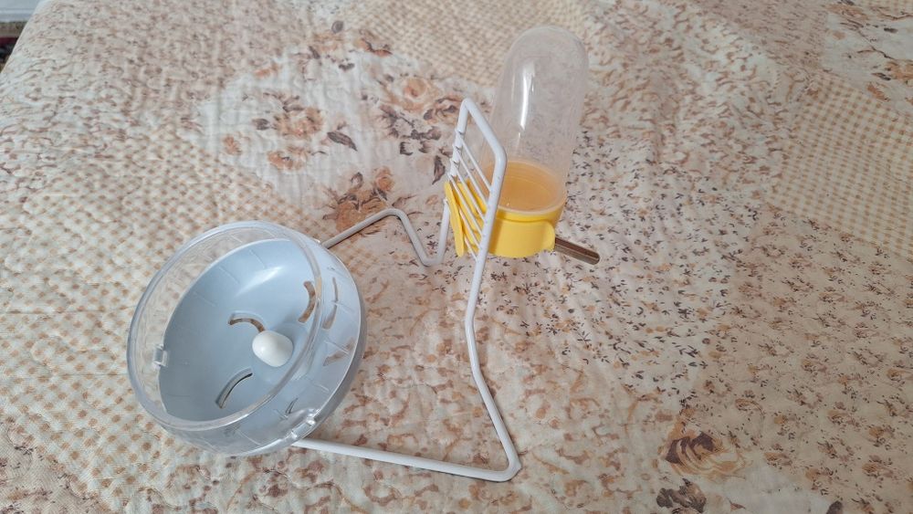 Accesorii hamsteri
