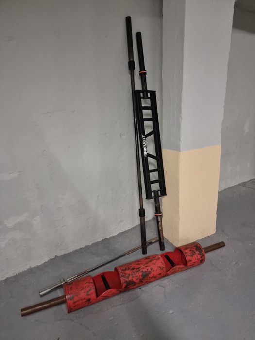 Лостове ф50 за фитнес