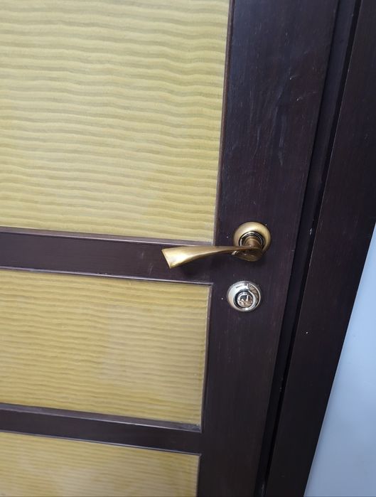 Двери шпонированные