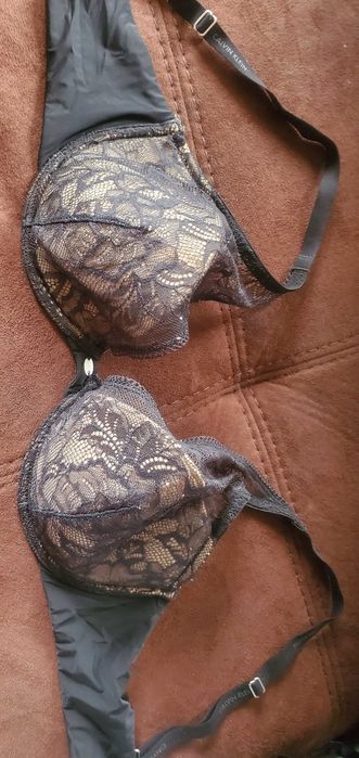 Calvin klein,Wonderbra,Puma,Calvin Klein