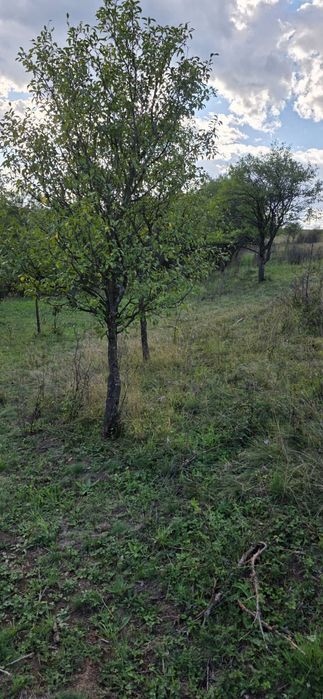 Teren zona superba