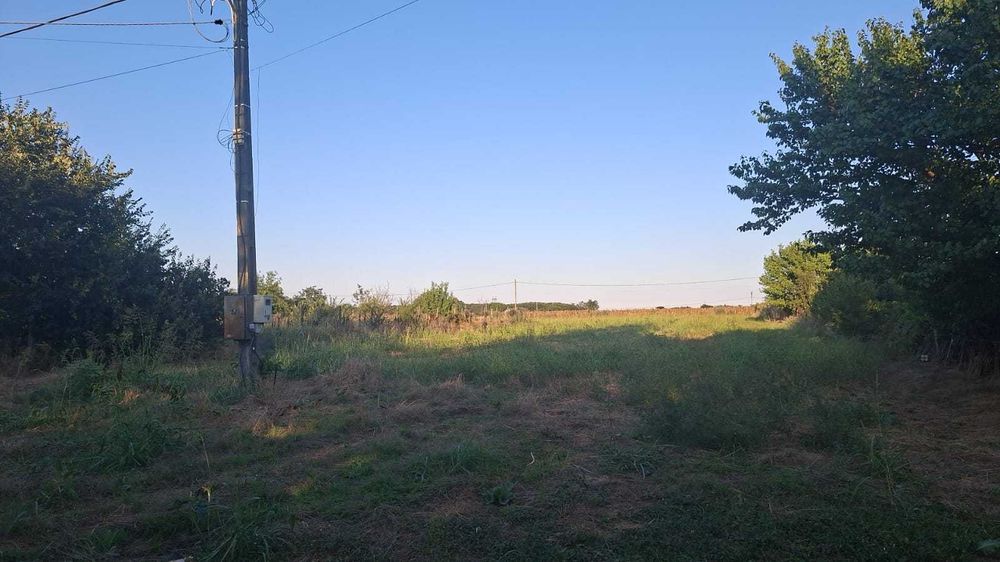 Teren intravilan 1000mp RADU NEGRU (Gambeta) jud. Calarasi