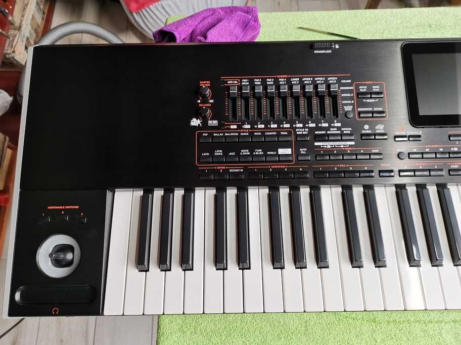 Service Igienizare/Estetizare/Mentenanta Clapa Korg Pa2x/Pa3x/Pa4x/Pa5