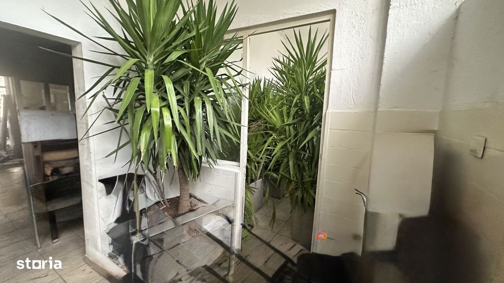 Spatiu comercial, 146 mp, zona Centru