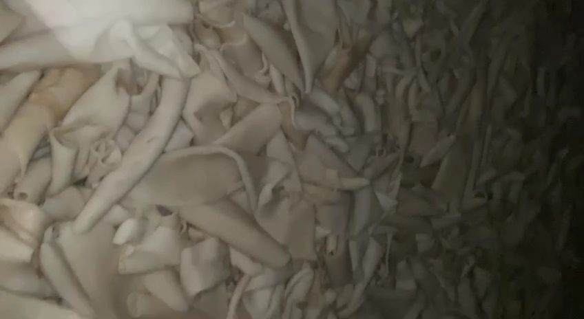 Kalbasa uchun spil mahsulotlari