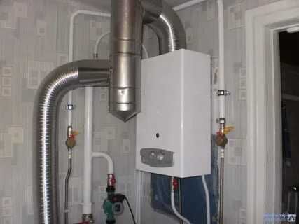 Dimoxod zakazga yasab òrnatish!