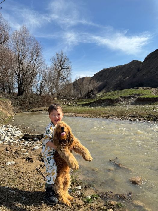 Руский спанель еркек