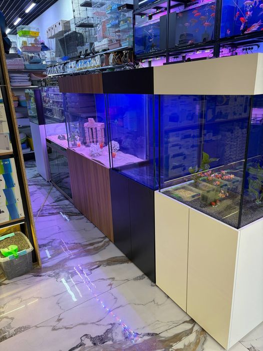 Akvarum va baliq magazin