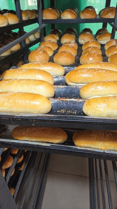 Бургер хот дог сендвич донер булочка