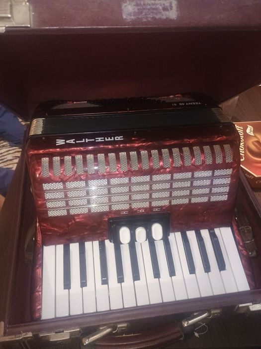 Acordeon Walther Teeny 48 basi