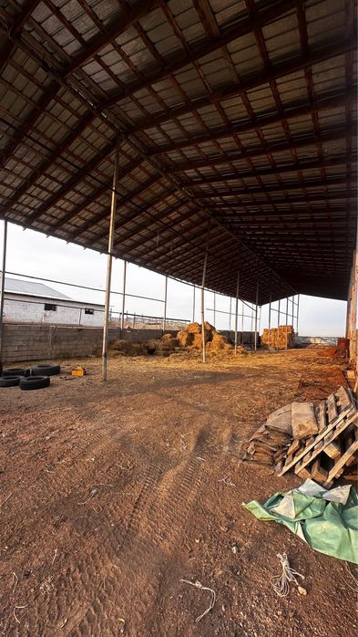 Фазенда для КРС и птицы