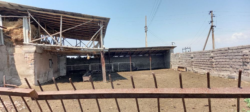 Продам ДАЧУ срочно 20000, цена договорная