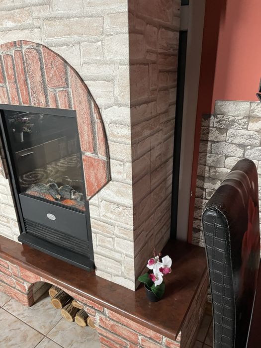 Şemineu electric ornamental