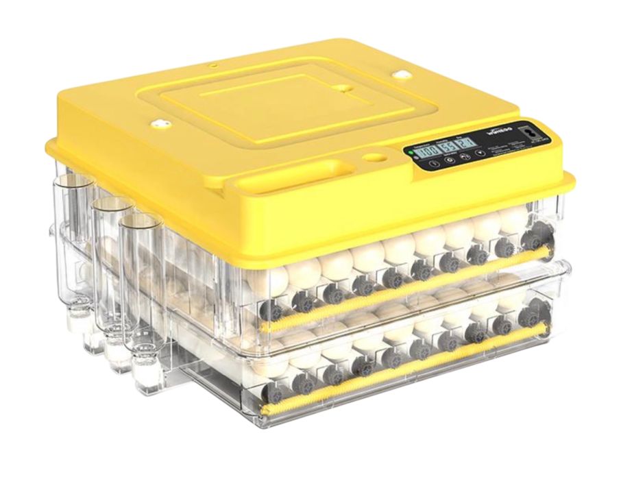 Inkubator avtomat gradus va namligini kursatadi