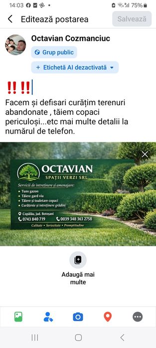 Ofer servicii spatii verzi