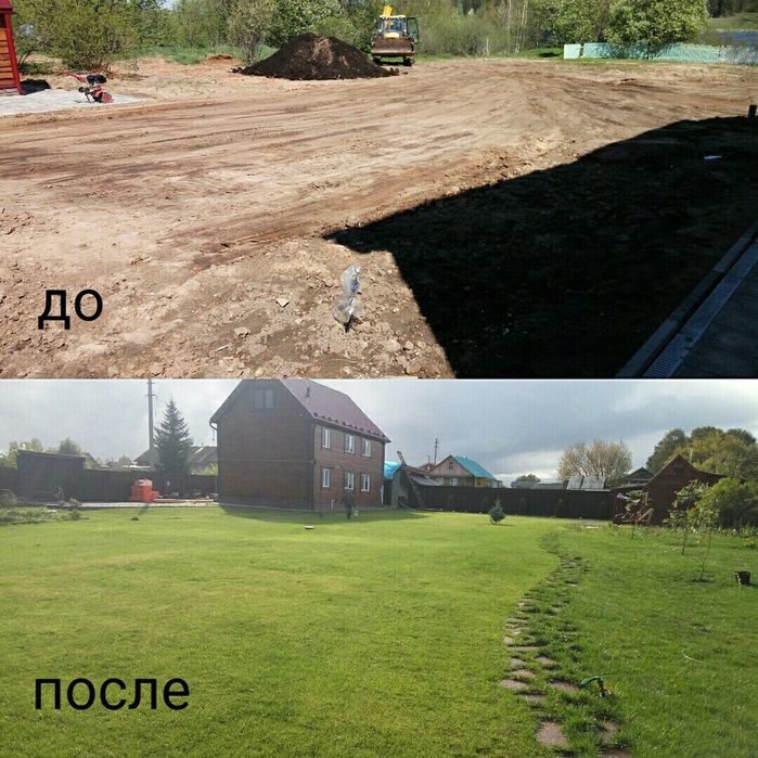 Газон посев, рулонный