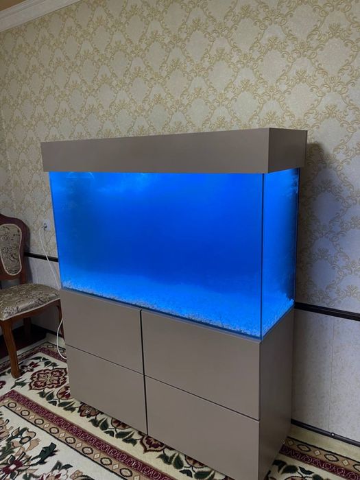 Akvarium zakas asosida tayyorlab beramiza