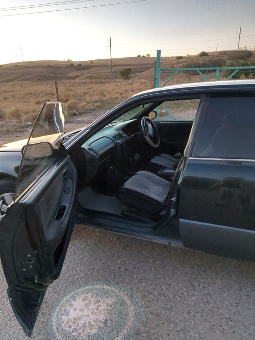 Toyota виндум в 10 кузове