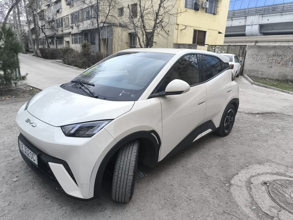 byd seagull sotiladi