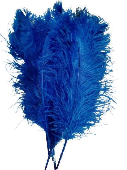 Pene de struti de vanzare