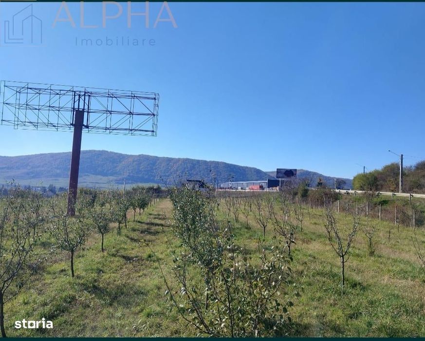 Teren intravilan 12.300 mp – oportunitate investitie industrialacomerc