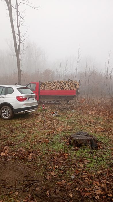Vind lemne sparte și întregi . gârniță și cer.