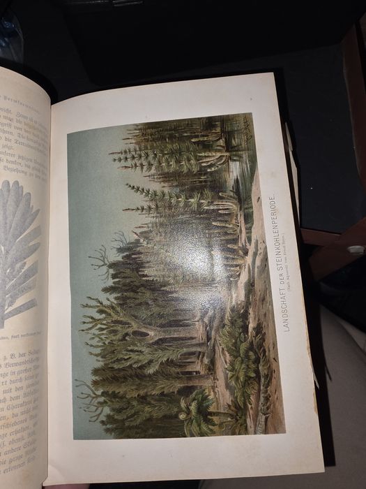 История на Земята Erdgeschichte от Мелхиор Ноймайер 1895