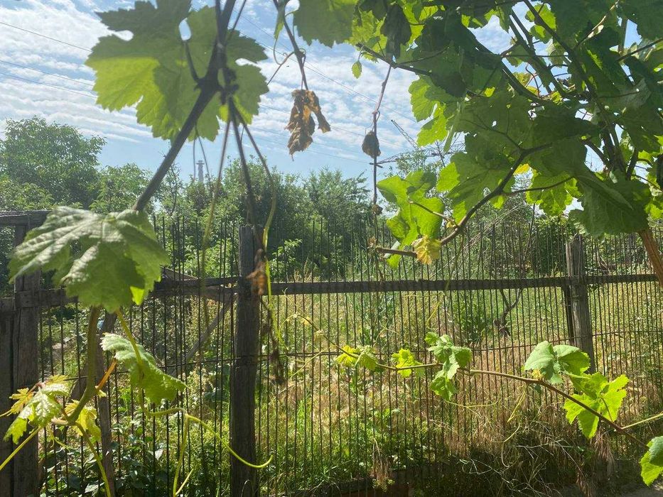 Продажа земли Янгихает Старый Сергели ул. Нюлифар 19,5 тыс.