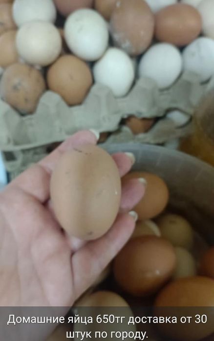 Яйца домашние всегда свежие.