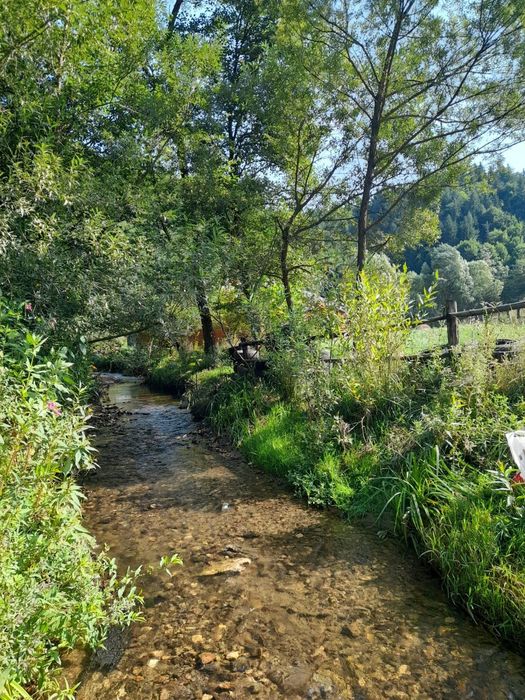 Cabana de  inchiriat brasov ocupat craciun si revelion