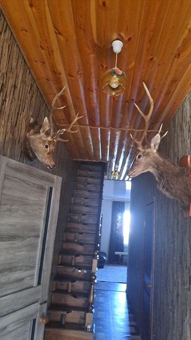 Сдаются в аренду дома за городом