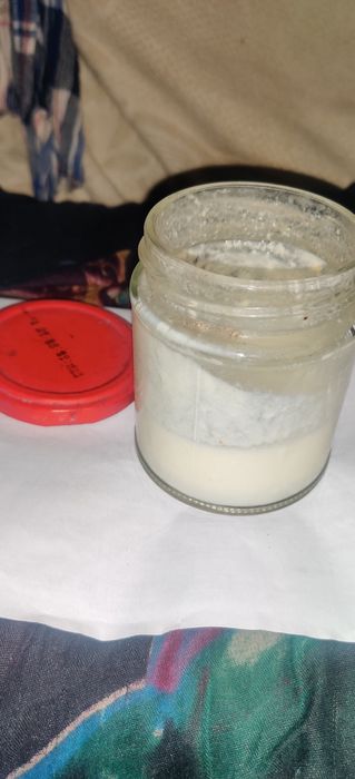 Vând kefir, chefir cultura originala