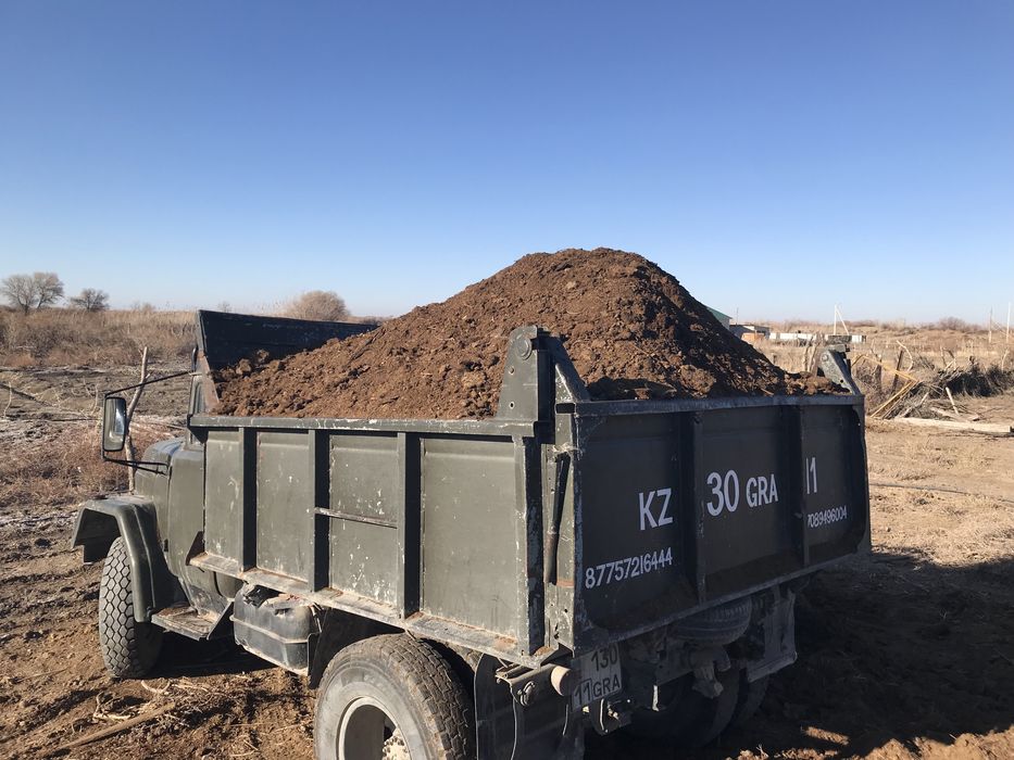 Көң қара шірік (навоз)